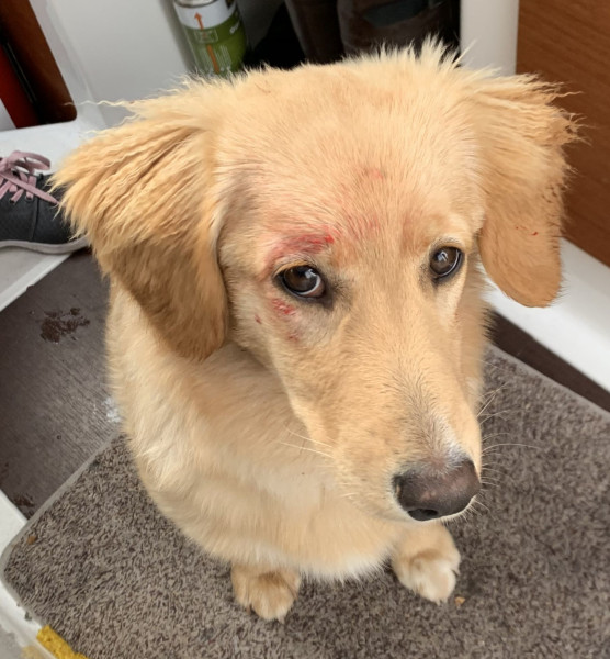 2020-09-27-1051_Emily