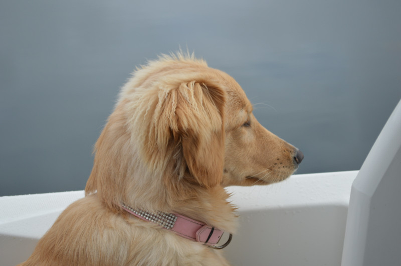 2020-09-27-1209_Emily