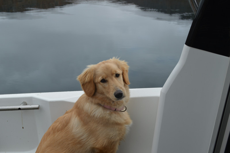 2020-09-27-1209_Emily_2