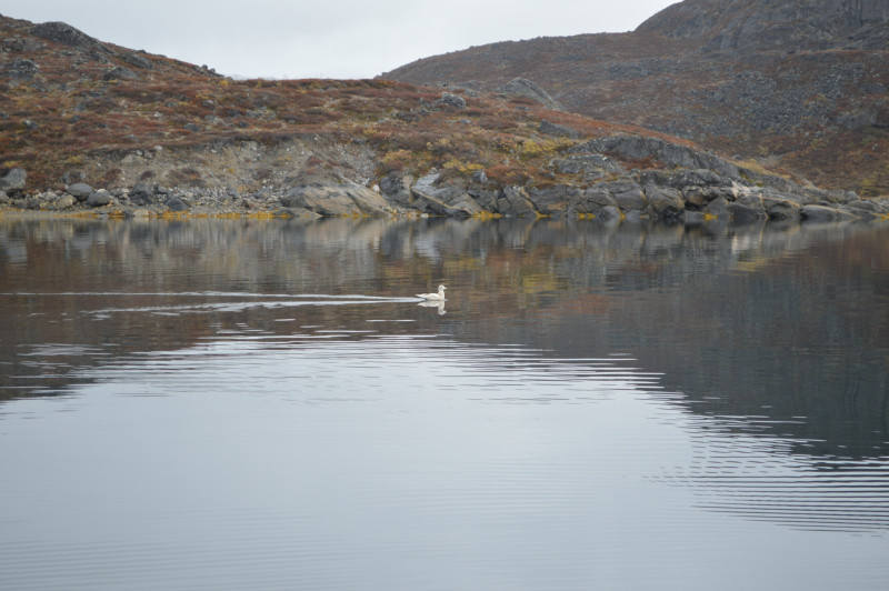 2020-09-27-1209_Mage