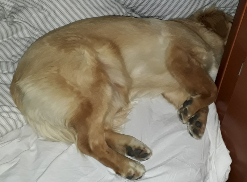 2020-09-30-2245_Emily