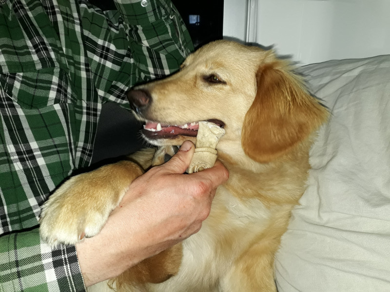 2020-10-01-2023_Emily