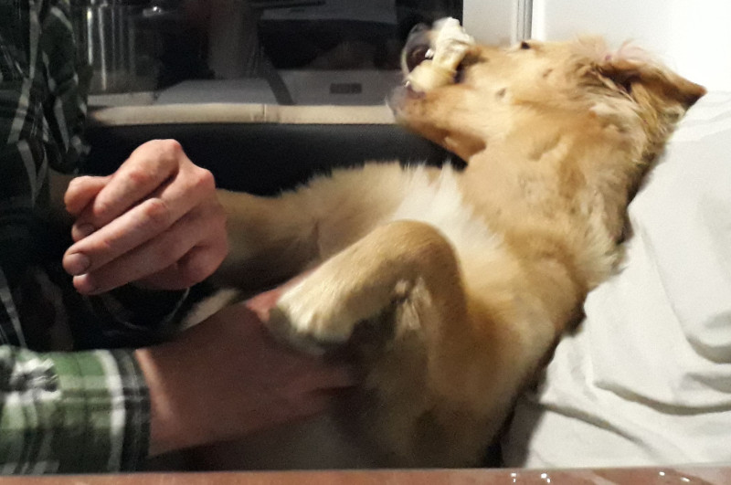 2020-10-01-2024_Emily