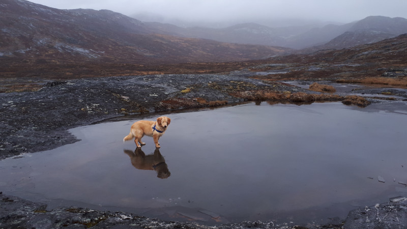 2020-10-02-1412_Bedste_2-Emily