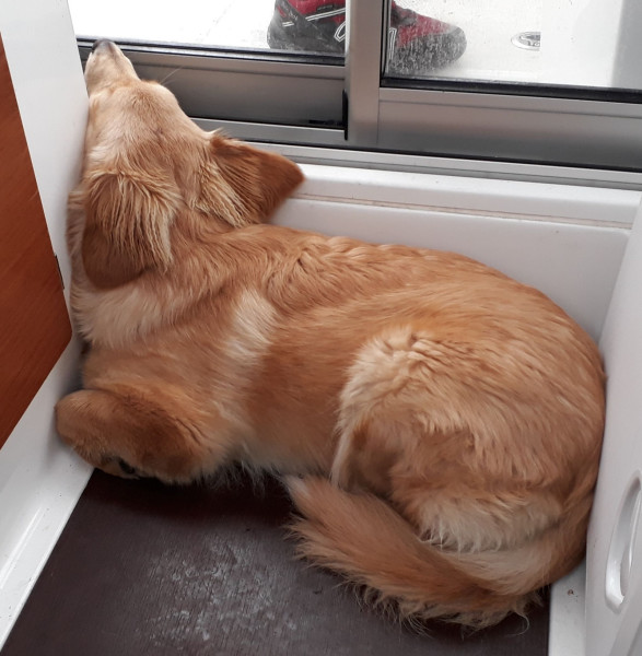 2020-10-02-1540_Emily