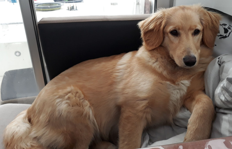 2020-10-02-1702_Emily