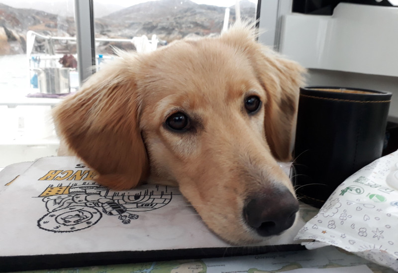 2020-10-02-1745_Emily