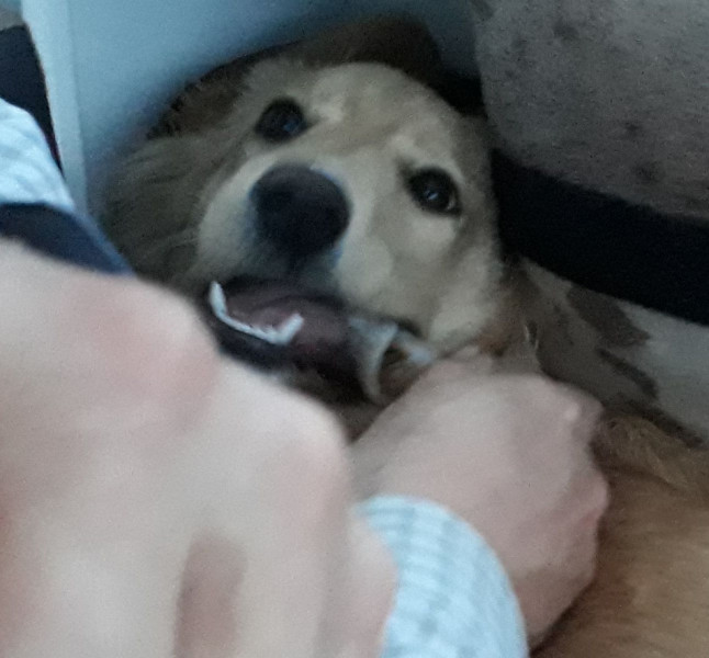 2020-10-02-1841_Emily