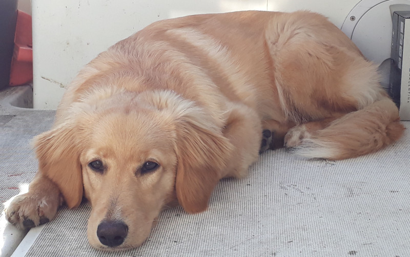 2020-10-03-1533_Emily