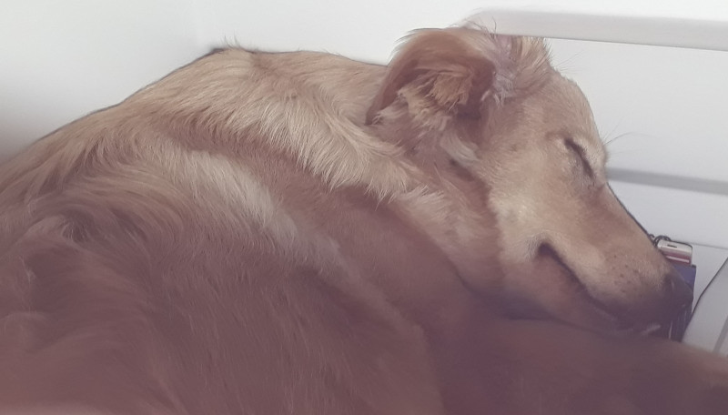 2020-10-03-1908_Emily