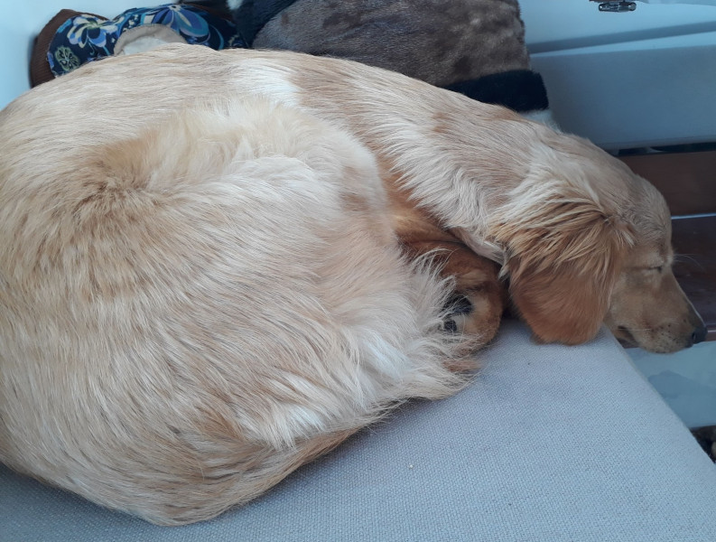 2020-10-04-1144_Emily