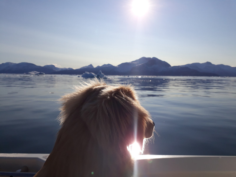 2020-10-04-1152_Emily