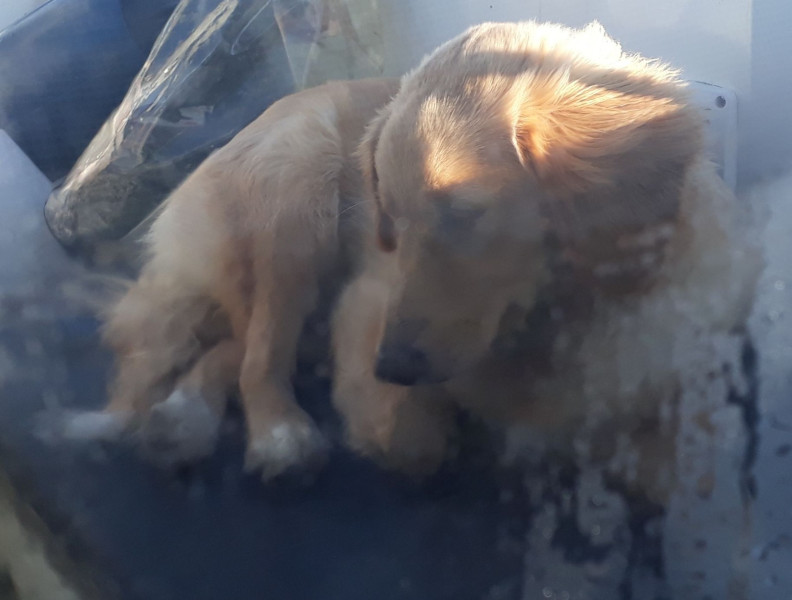 2020-10-04-1157_Emily