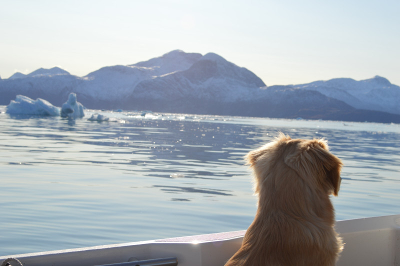 2020-10-04-1203_Emily_2