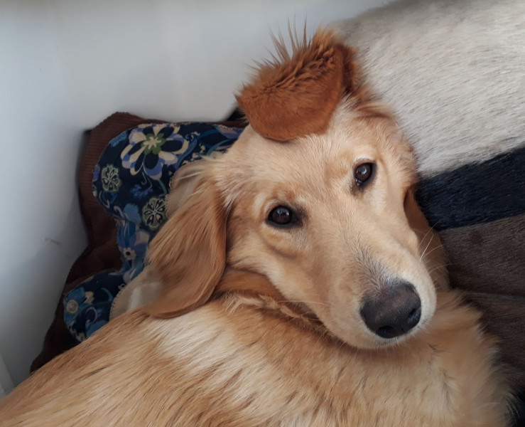 2020-10-04-1218_Emily