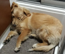 2020-09-30-2232_Emily