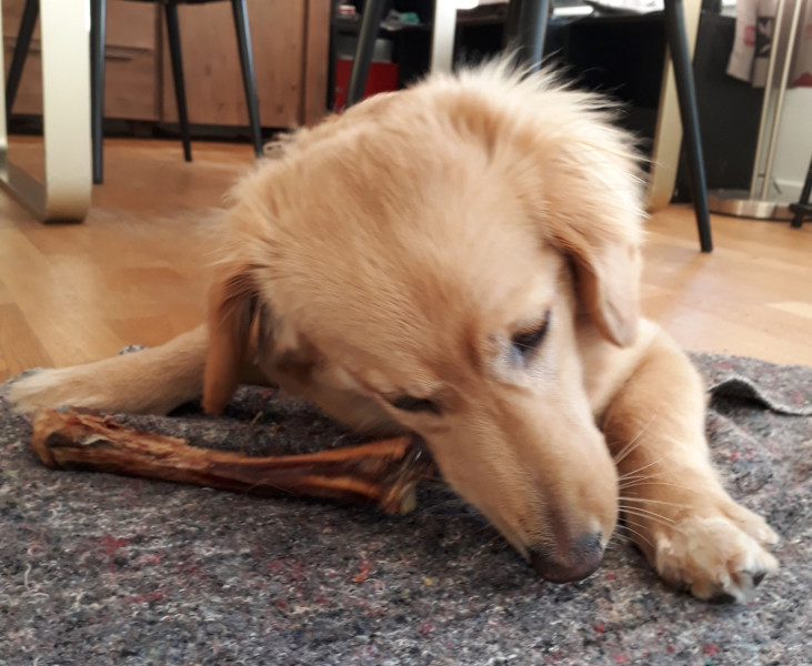 2020-11-08-1311_Emily