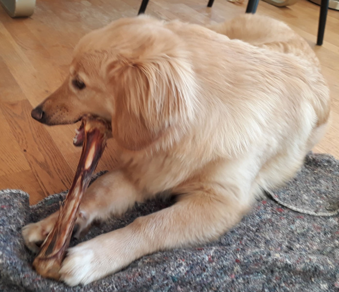 2020-11-08-1312_Emily