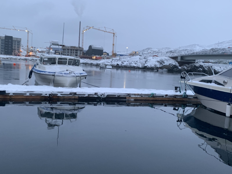 Maru tages op for vinteren