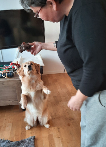 Emily's første sæl suaasat