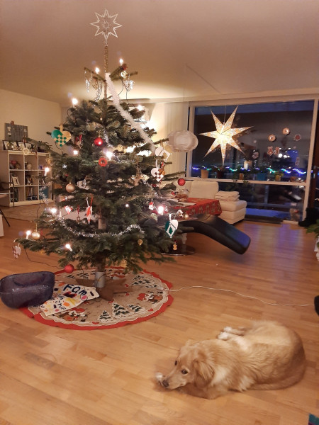 2020-12-24-2116_Emily-Juletrae