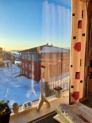 2021-01-25-1449_Spurv