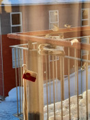 2021-01-25-1450_Spurv