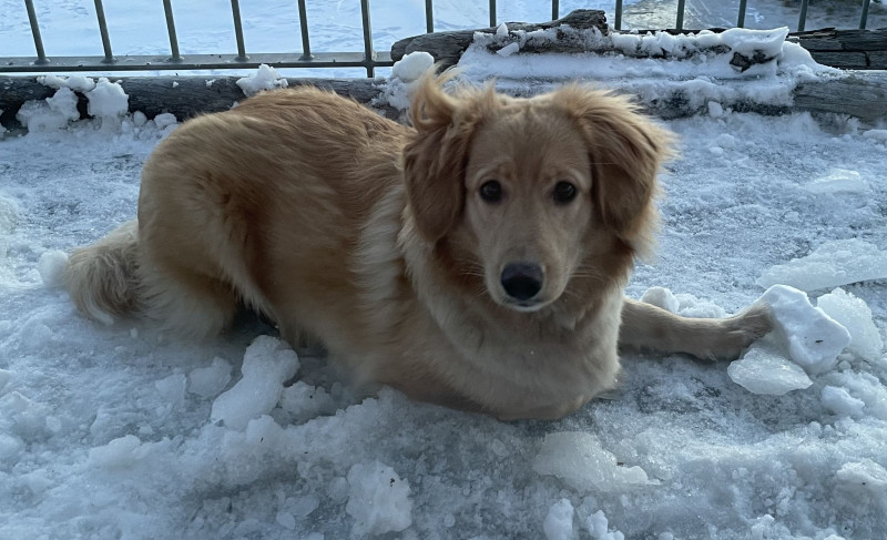 1_2021-02-05-1926_Emily