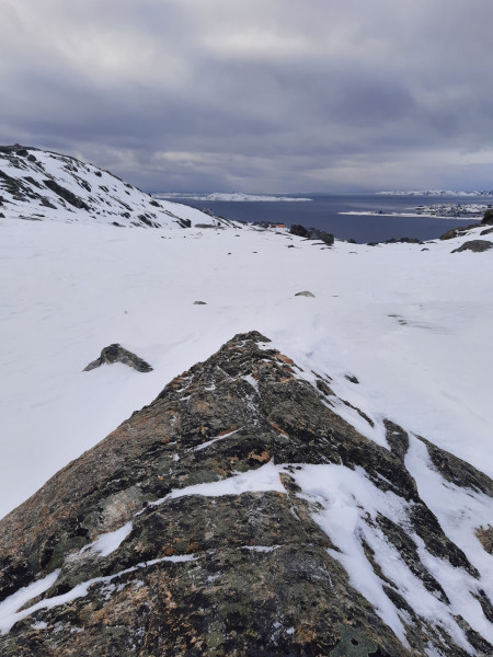 1_2021-02-20-12.57.58