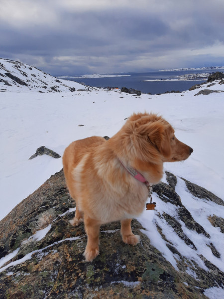 1_2021-02-20-12.58.32