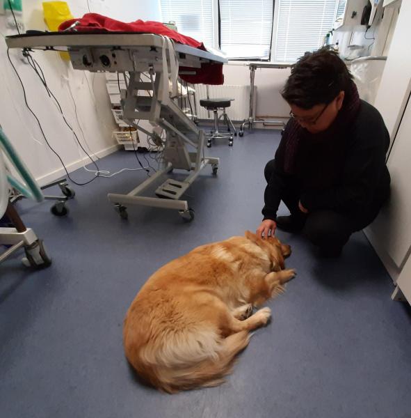 2021-02-24_-09.27.17_Anna-Hessler-Labansen_-Emily