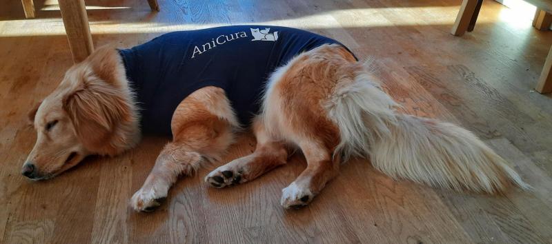 2021-02-24_-14.52.17_Emily_6