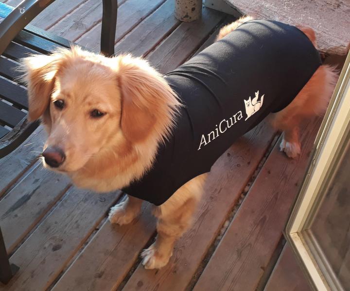 Ved at blive frisk efter operationen