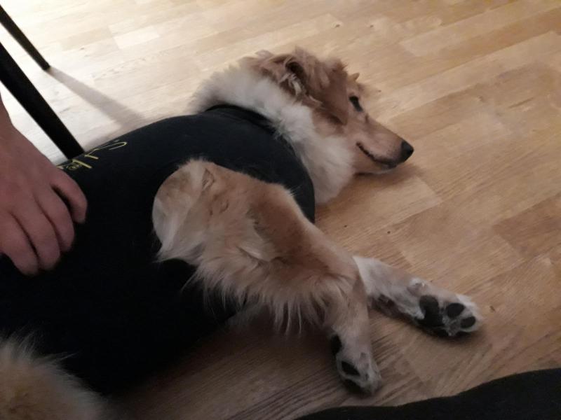 Ved at blive frisk efter operationen