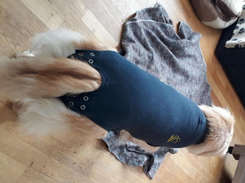 Ved at blive frisk efter operationen