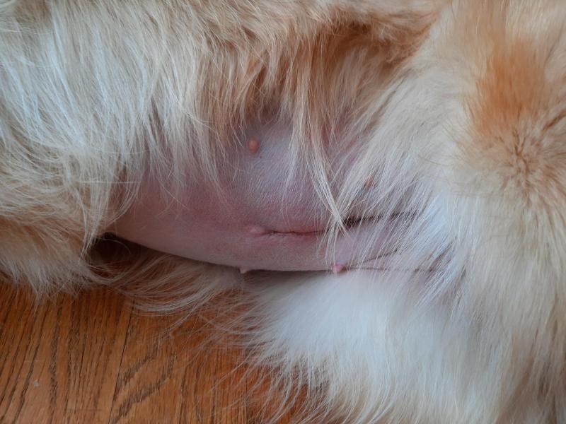 2021-02-28_-14.22.03_Emily_1