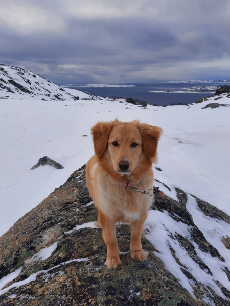 2_2021-02-20-12.58.28