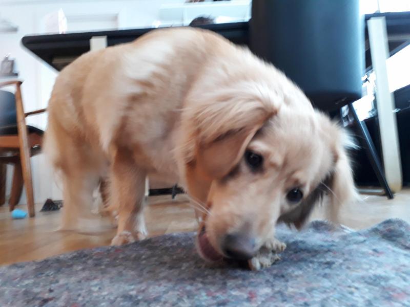 2021-03-02_-17.01.46_Emily