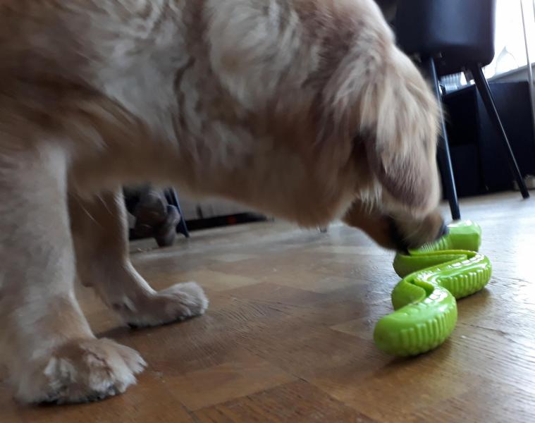 2021-03-13_-09.51.28_Emily_1