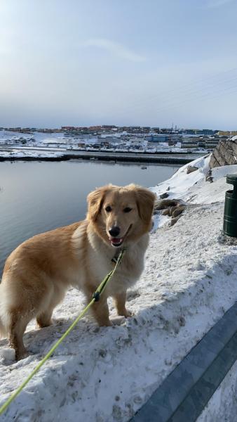 2021-03-19_-16.05.28_Emily_4