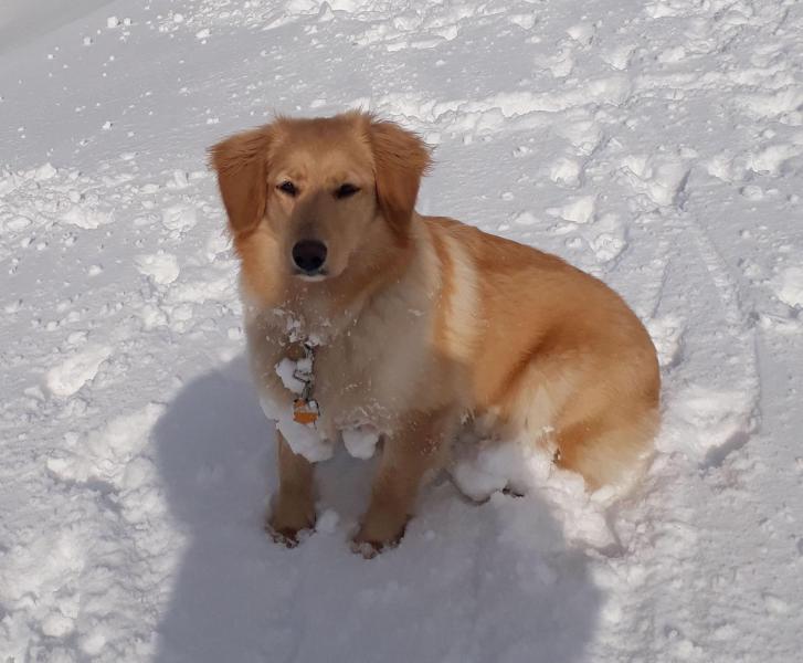 2021-03-20_-11.22.41_Emily_2