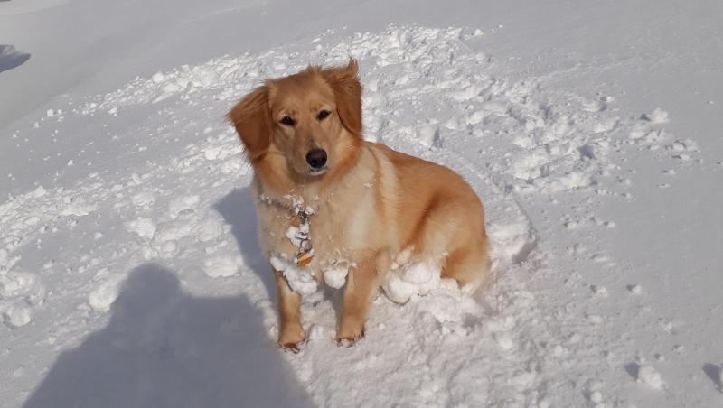 2021-03-20_-11.23.01_Emily_3