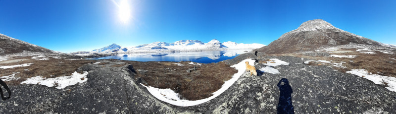 2021-04-24_-10.52.08_Panorama_2