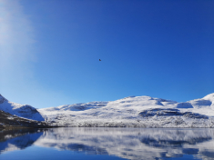 2021-04-23_-08.14.28_