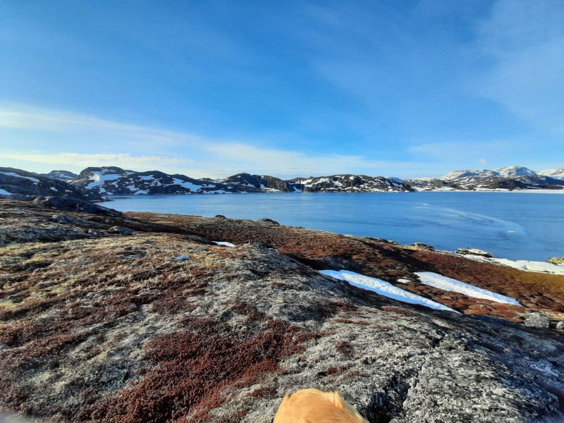 Miniferie i Tasiussarsuaq