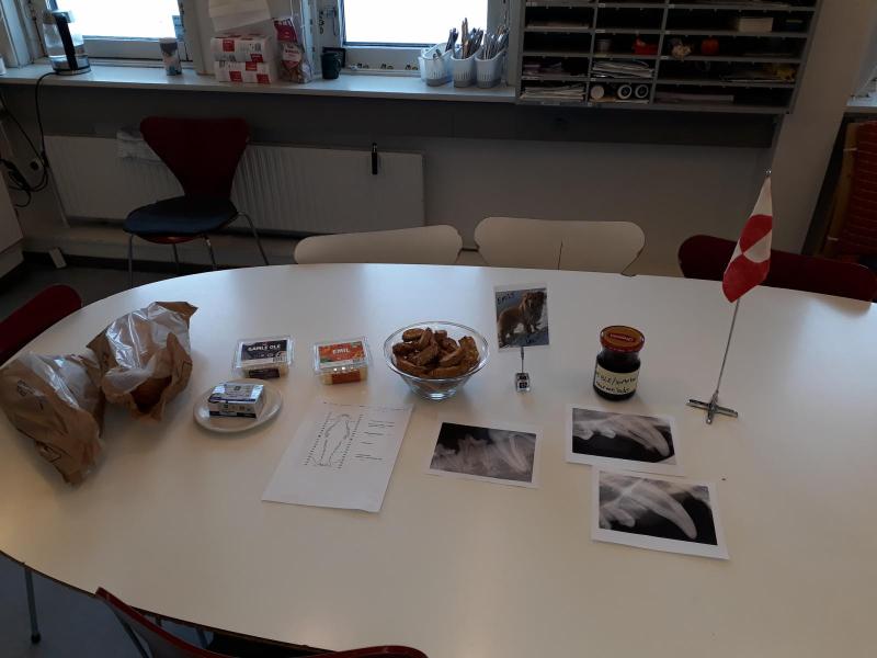 2021-04-08_-08.20.19__1