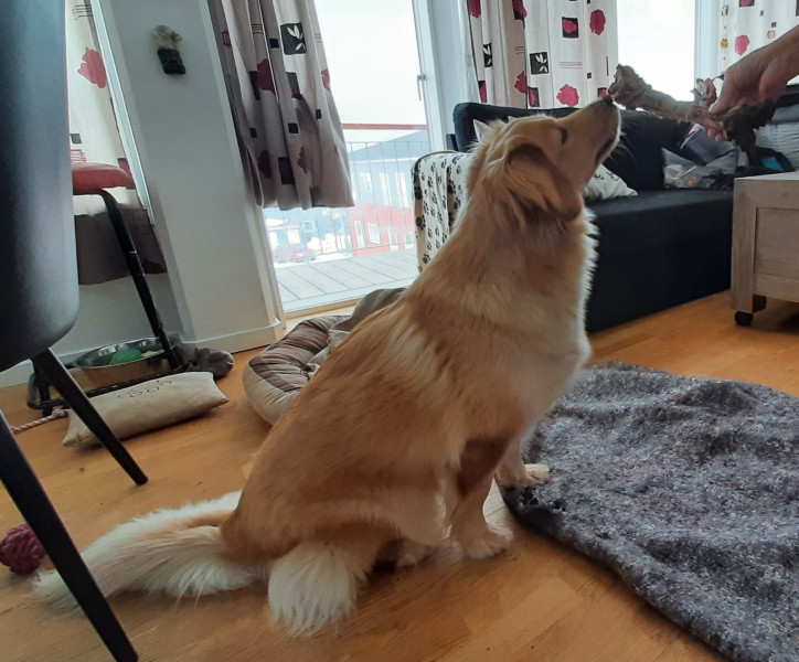 2021-04-08_-16.21.35_Emily