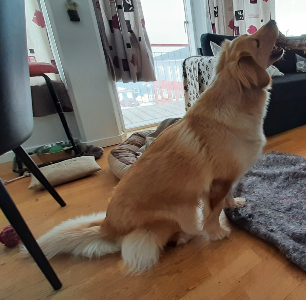 2021-04-08_-16.21.37_Emily_1