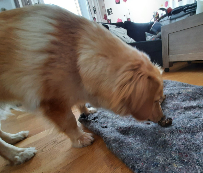 2021-04-08_-16.21.42_Emily_2