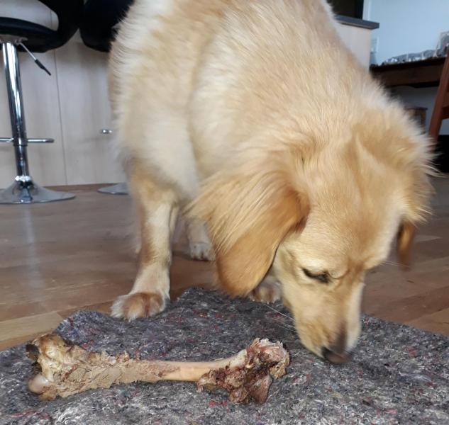 2021-04-08_-16.25.34_Emily_3